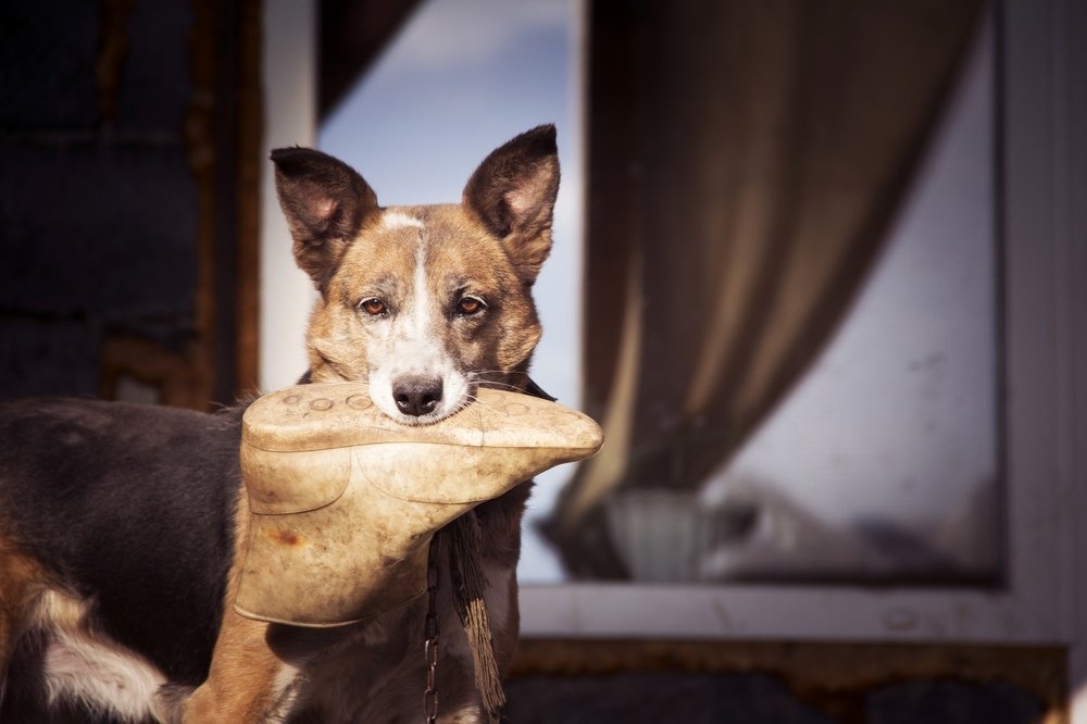 Photograph by Юлия Ломаева