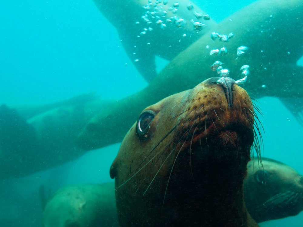 Photograph by Екатерина Владиславовна