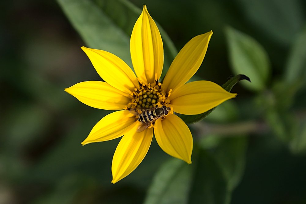 Photograph by Евгений Беленков