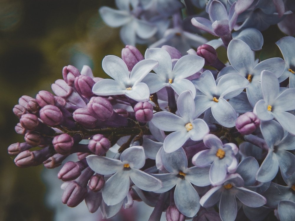 Photograph by Aлександра Зрелова