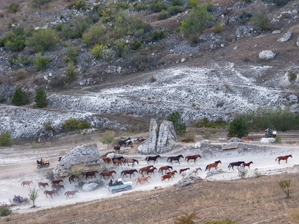 Photograph by Лариса Когтева