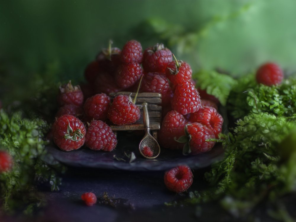 малиновое царство*