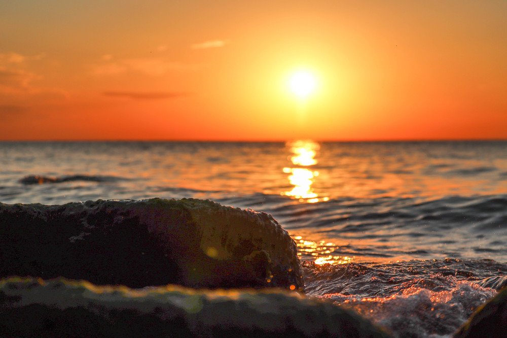 Photograph by Olga Vasina