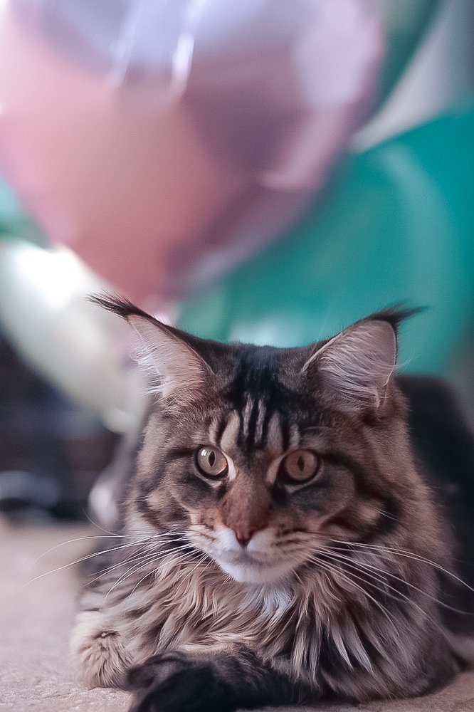 Photograph by Эльза Чанба