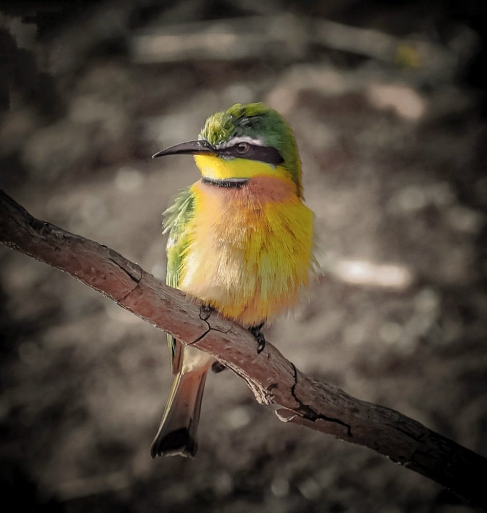 Photograph by Hitesh Kerai