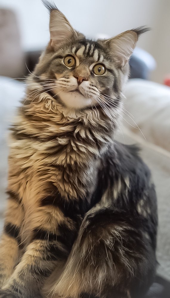 Photograph by Эльза Чанба