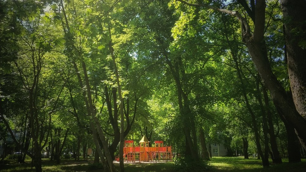 Photograph by 朱子元