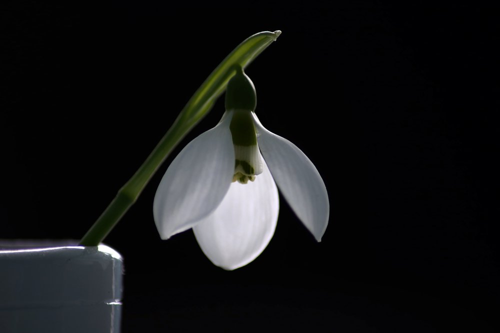 Photograph by Ralitsa Byalkova