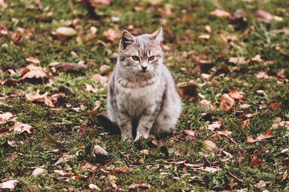 Photograph by Наталья Шёлкова