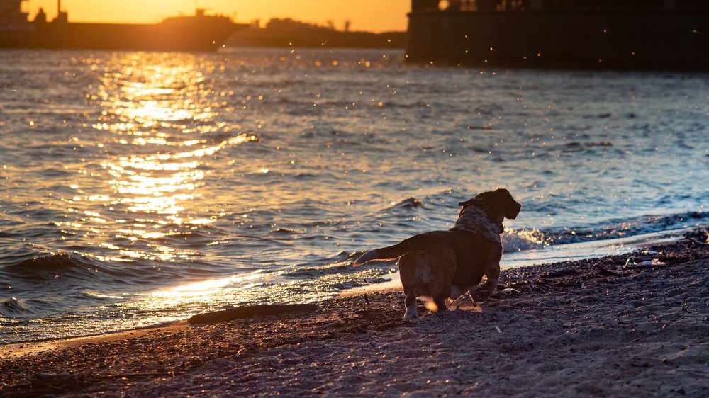 Photograph by Роман Смолко