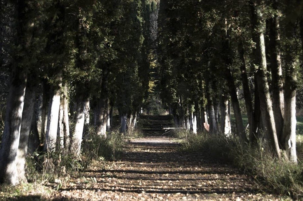 Photograph by Александр Ганычев