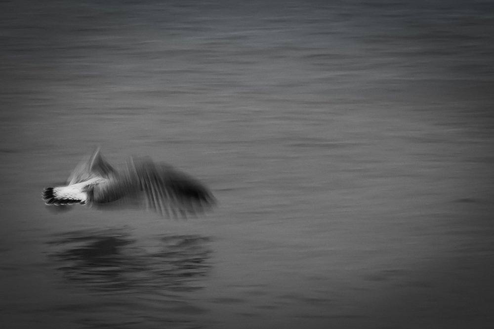 Фотография автора Оркина Ксения