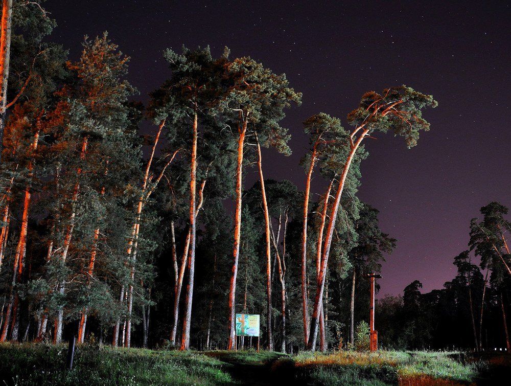 Photograph by Андрей Антипов