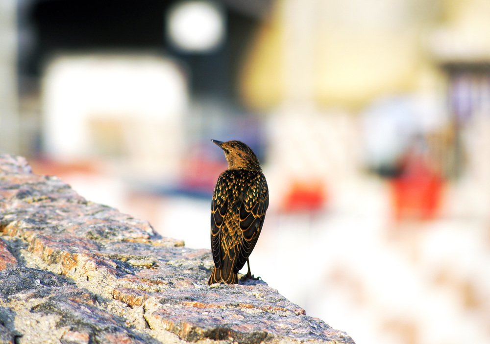 Photograph by Михаил Обертаев