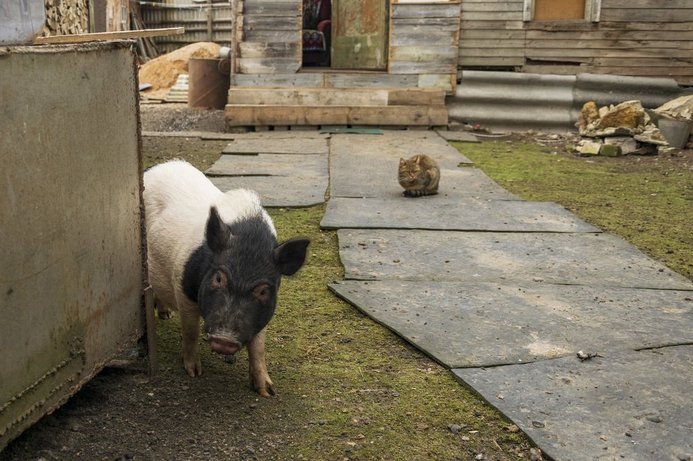 Photograph by Лилия Кондратьева