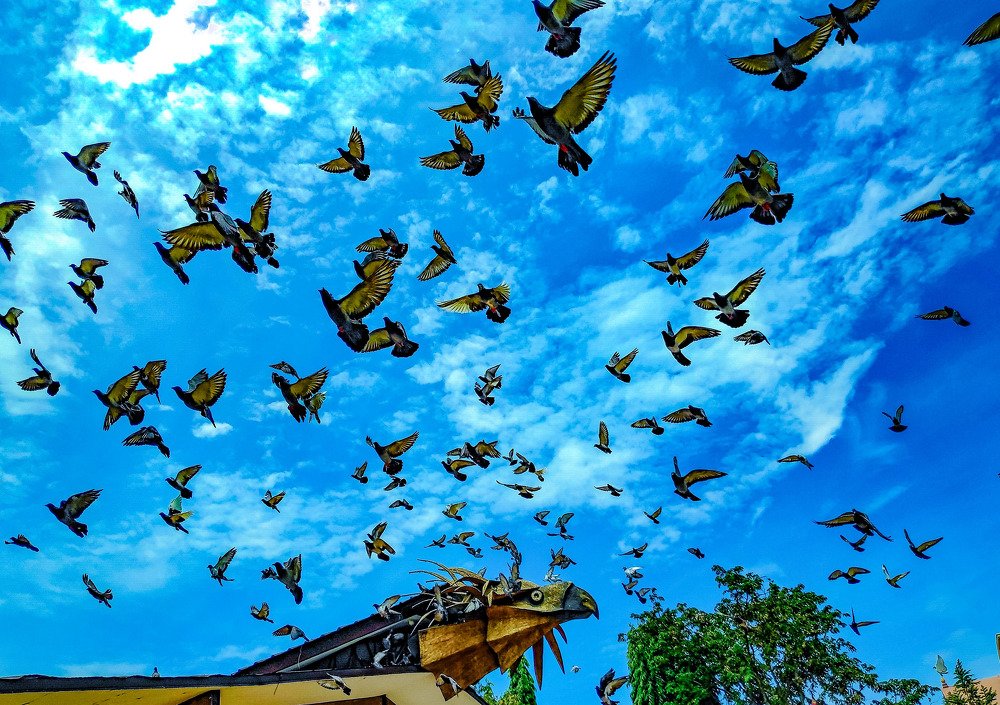 Photograph by Eric T. Hicale