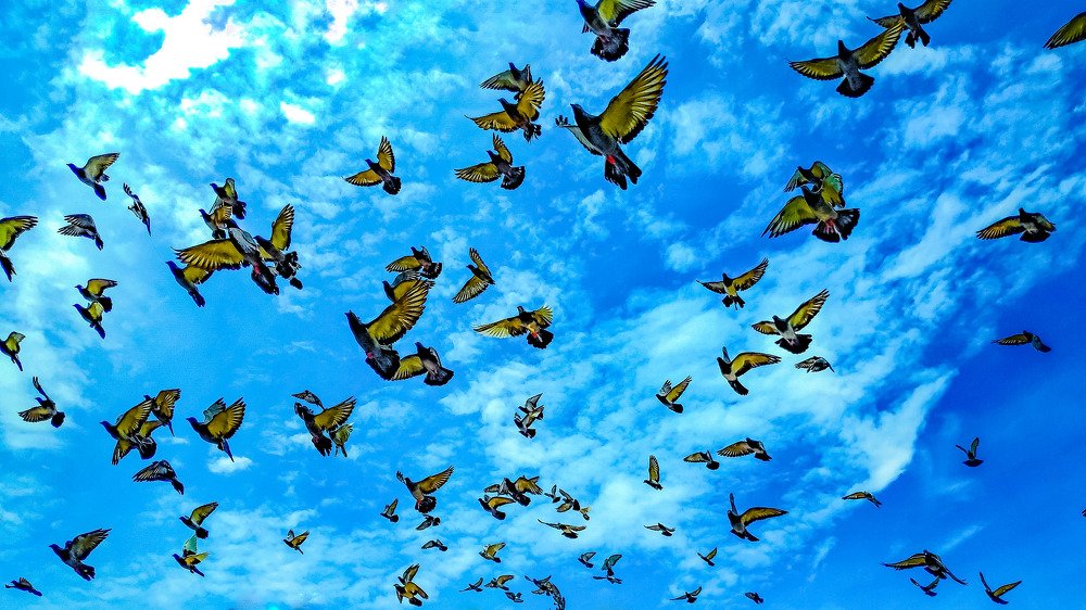 Photograph by Eric T. Hicale