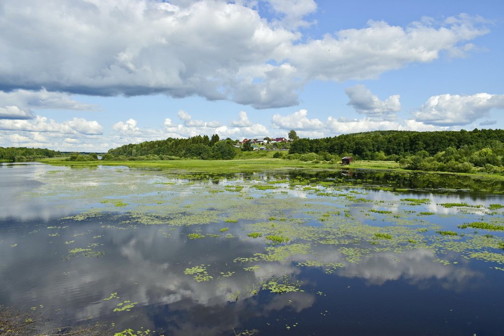 Photograph by Надежда Коновалова