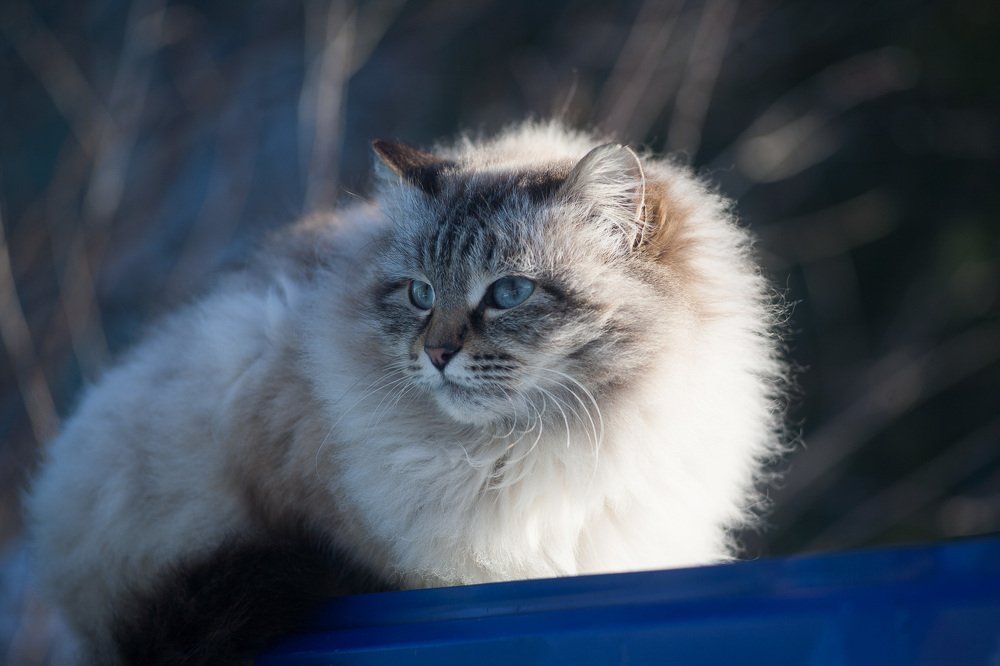 Photograph by Наталья Соболева