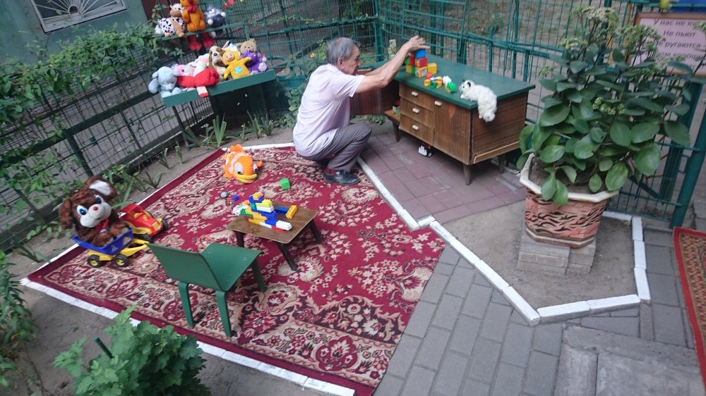 Photo #4978462