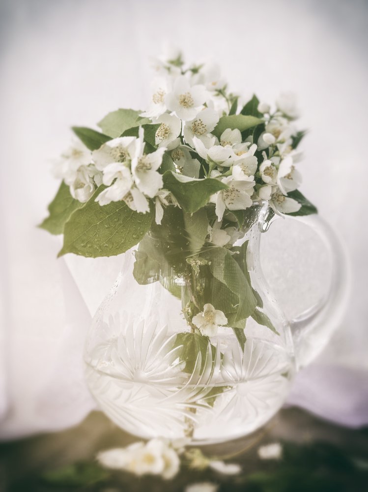 Нежный жасмин