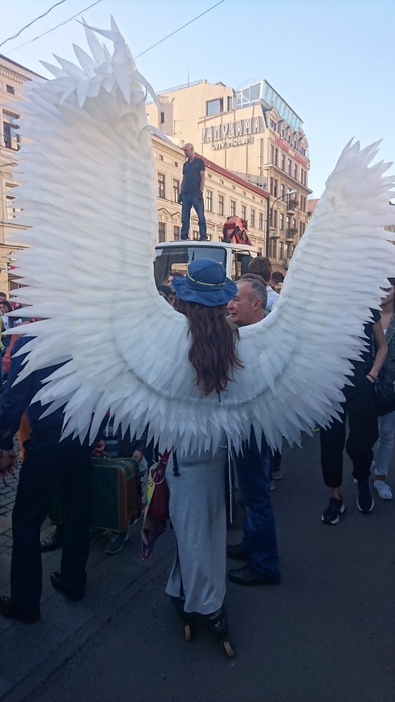 Photo #4978469