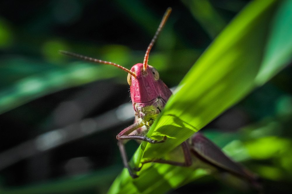 Photograph by Олеся zme