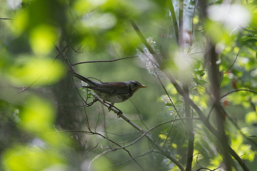 Photograph by Андрей Ходыкин