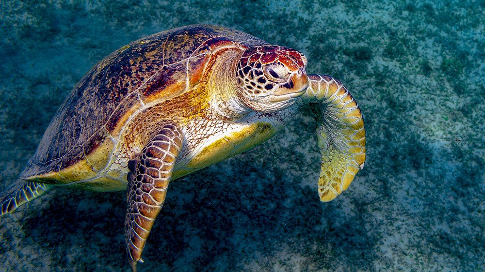 Photograph by Сергей Малеев