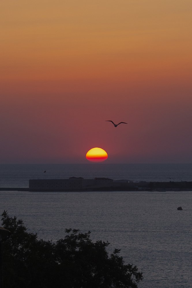 Photograph by Vladimir Soroka