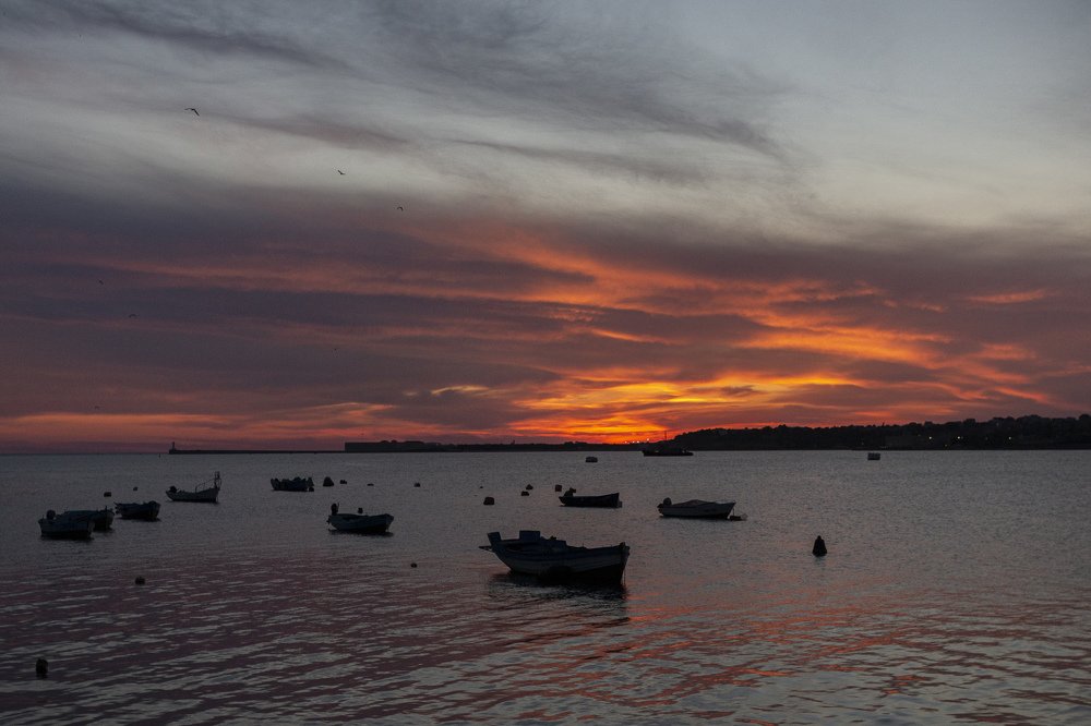 Photograph by Vladimir Soroka