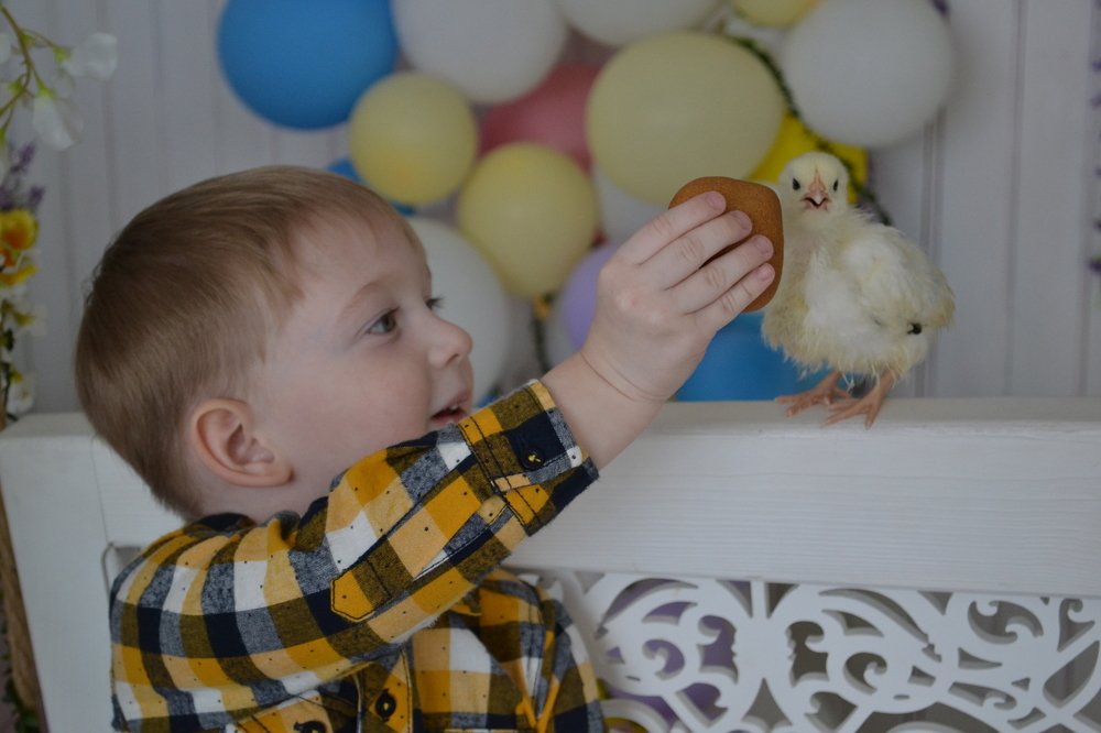 Photograph by Мария Котлярова