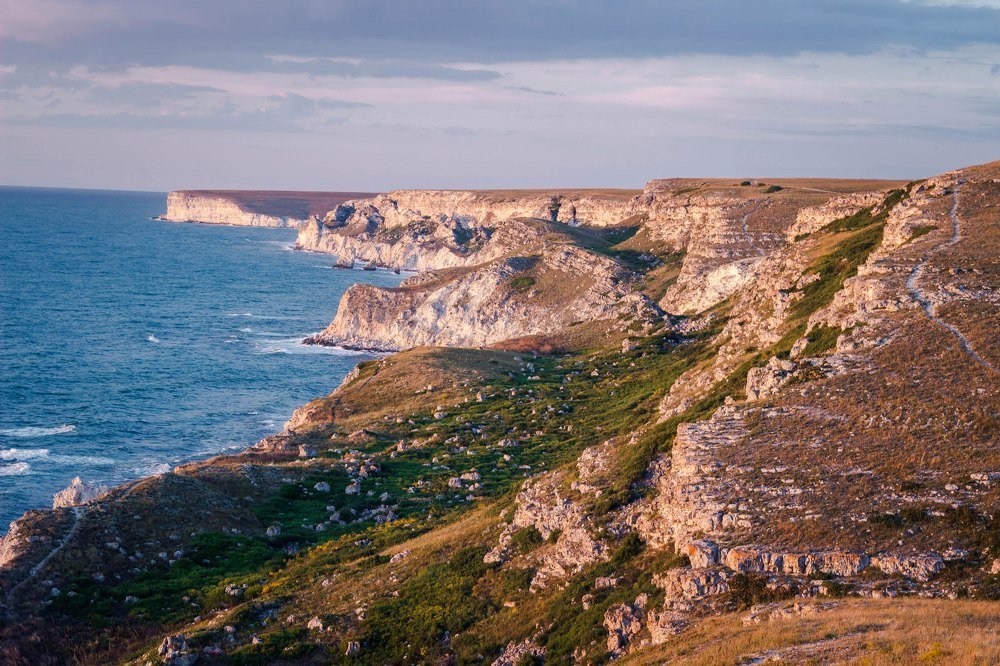 Фотография автора Екатерина Васильева