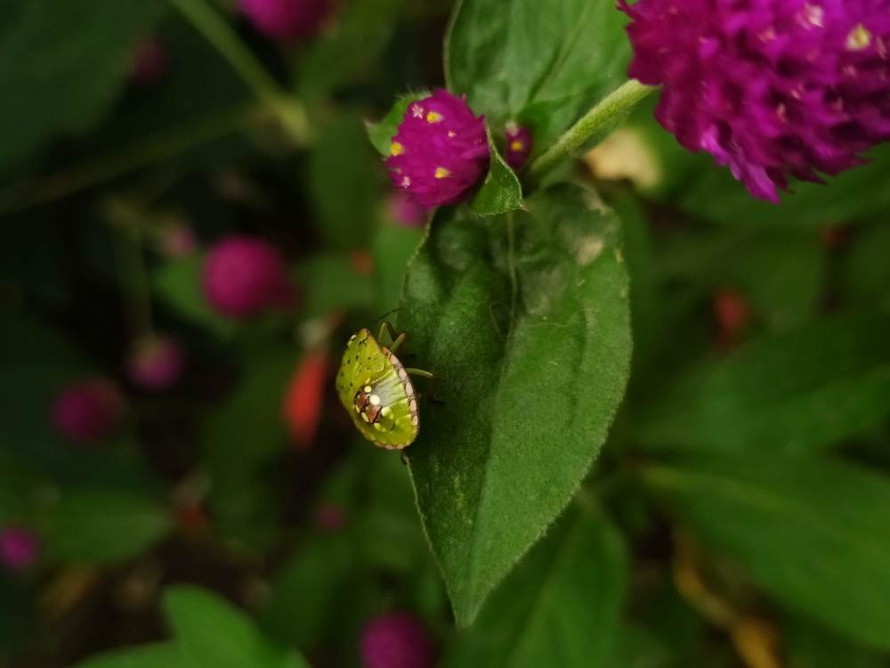 Photograph by Goga Mamulashvil