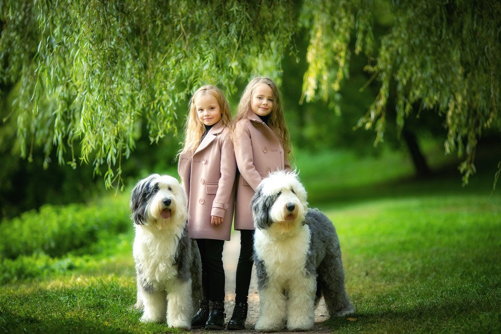 Photograph by Татьяна Гурова