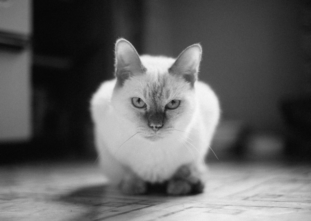 Photograph by Станислав Косматулин