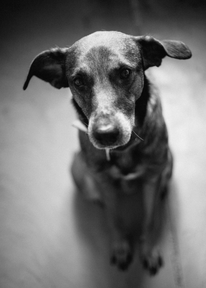 Photograph by Станислав Косматулин