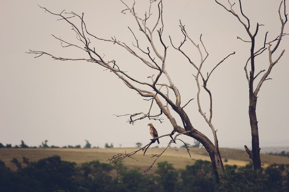 Photograph by Александр Косарев