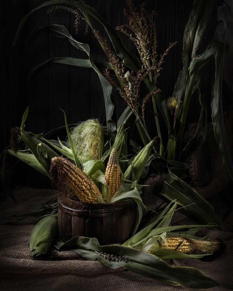 Photograph by Екатерина Родченкова