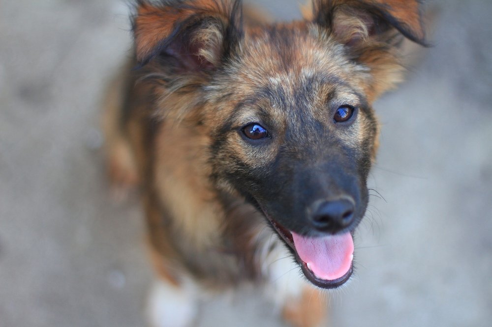 Фотография автора Екатерина Васильева