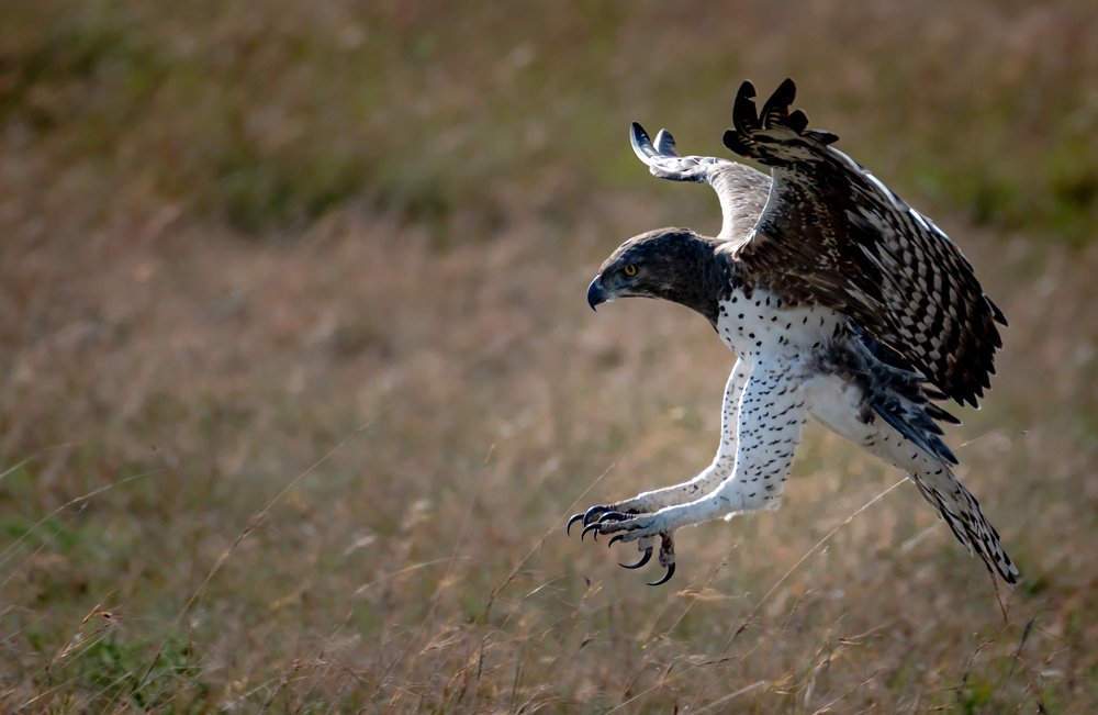 Фотография автора Ravikumar Kannaiyan