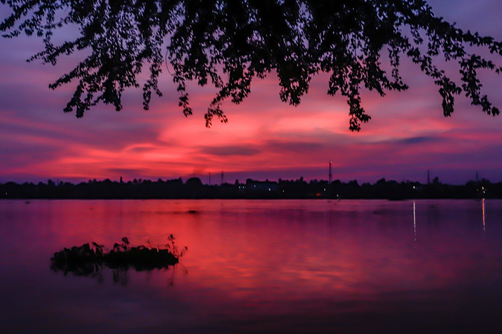 Photograph by Partho Kundu