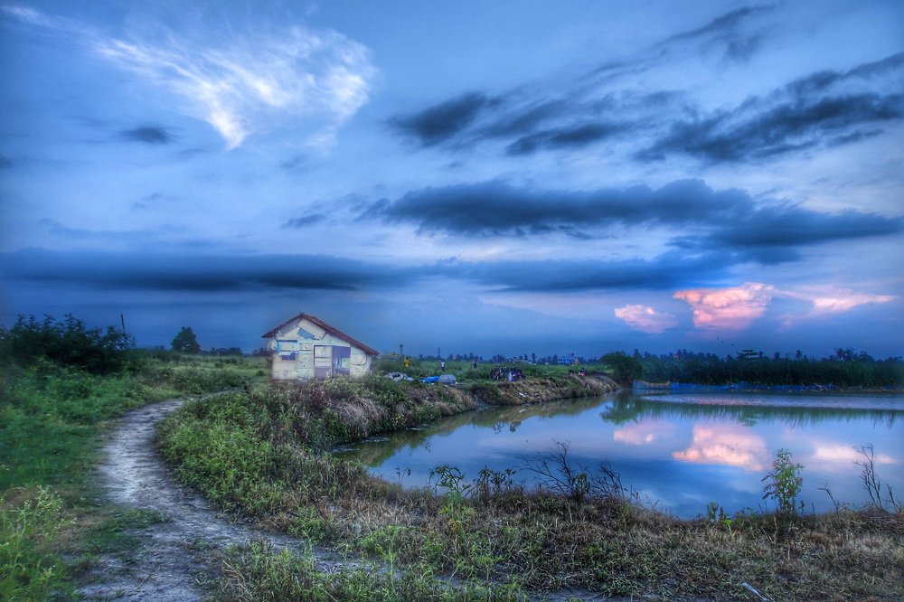 Photograph by Partho Kundu