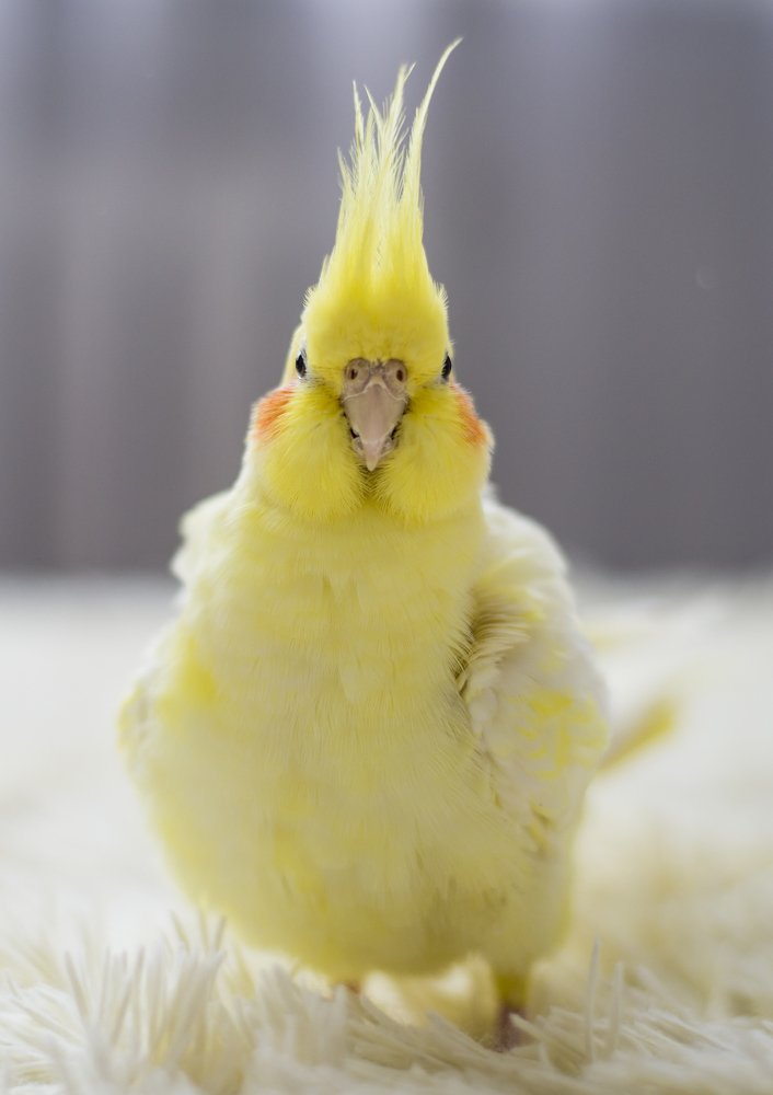 Photograph by Андрей Швед
