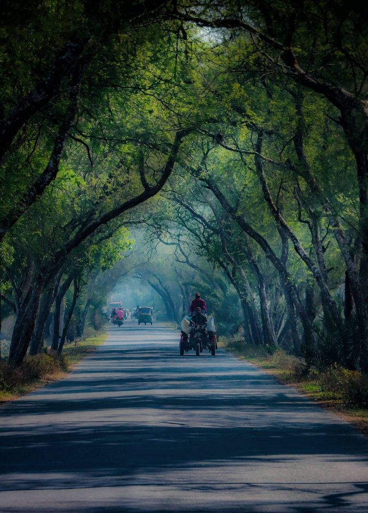 Photograph by Partho Kundu