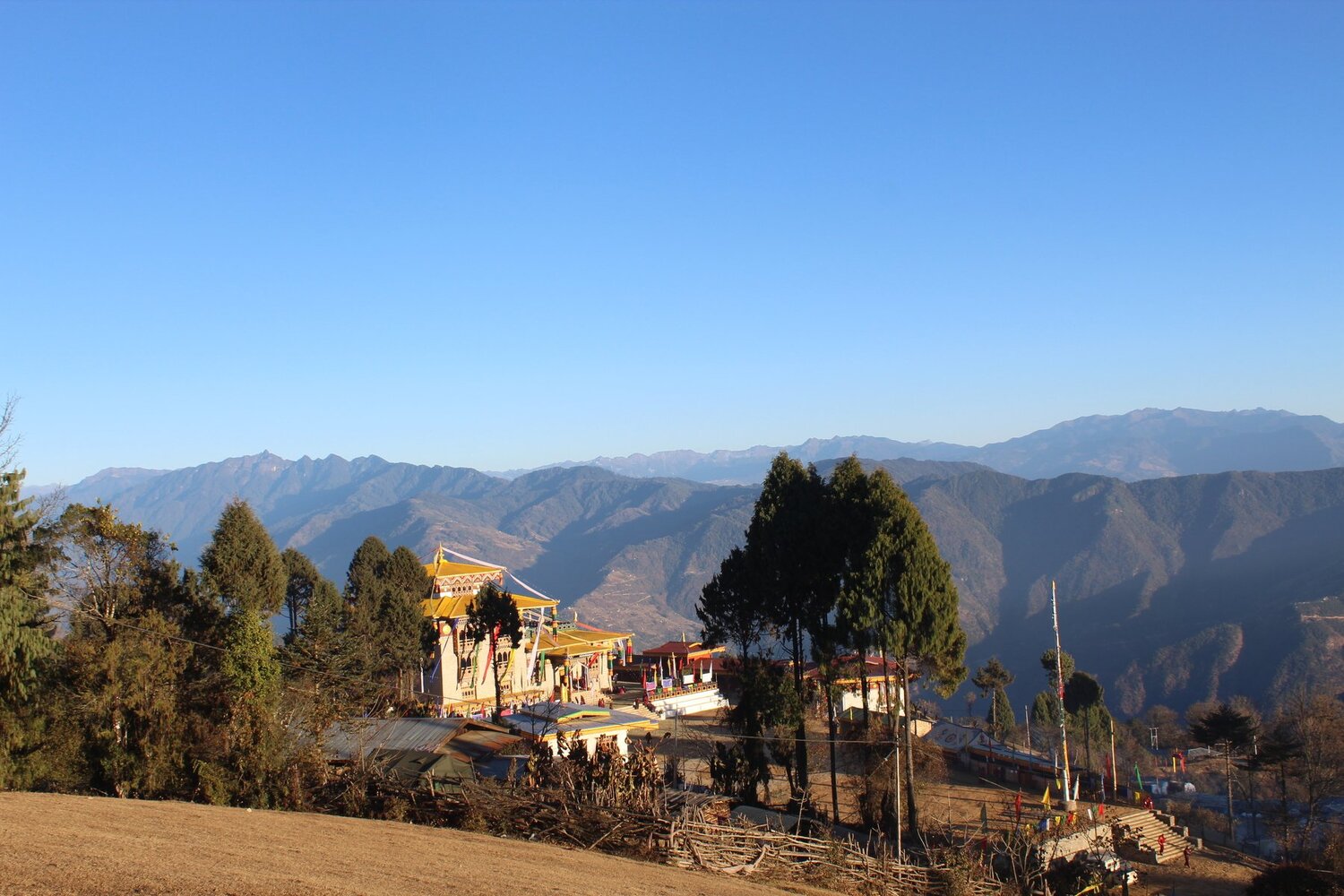 Photo #4978967