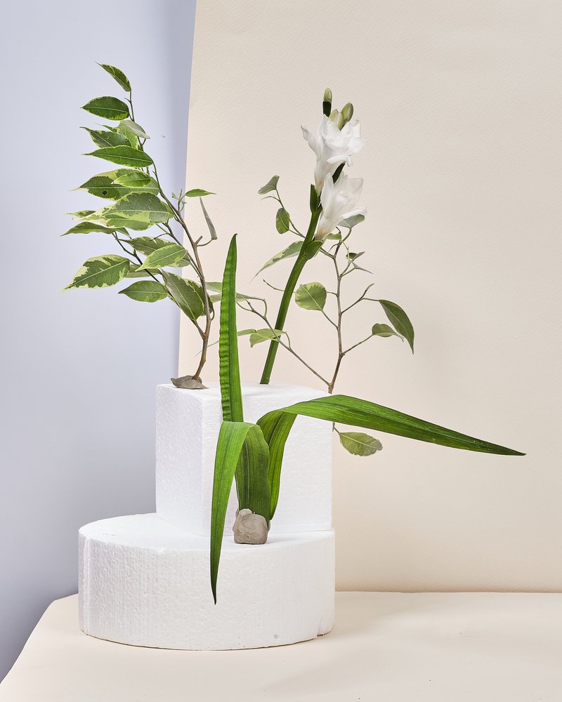 Photograph by Анна Дубровина