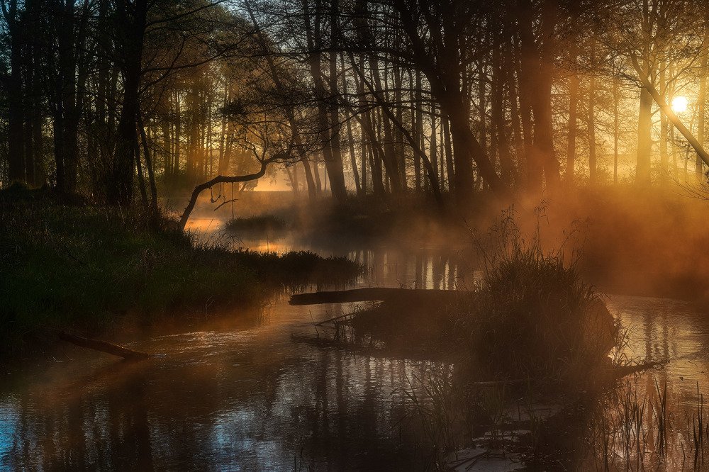 Sunrise over the streem