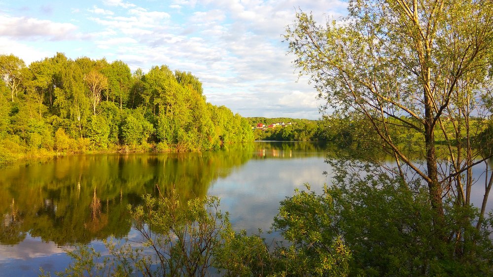 Photograph by Денис