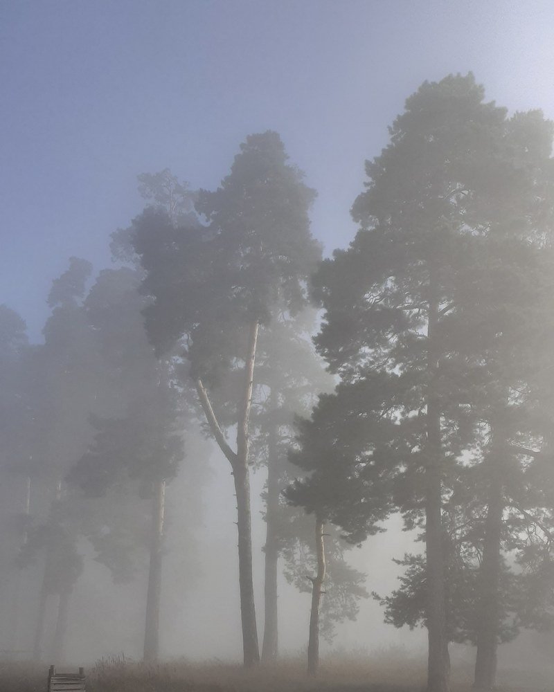 Photograph by Алсу Гиматова